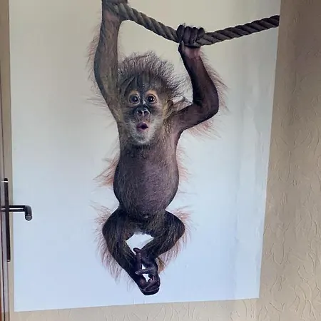 Rhein - Mosel Quartier 4 Boppard