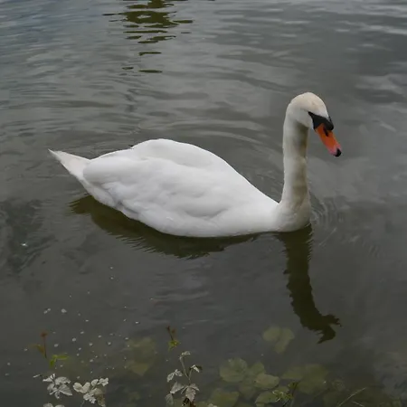 Rhein - Mosel Quartier 4 Apartment *