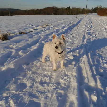 Rhein - Mosel Quartier 4 아파트 *