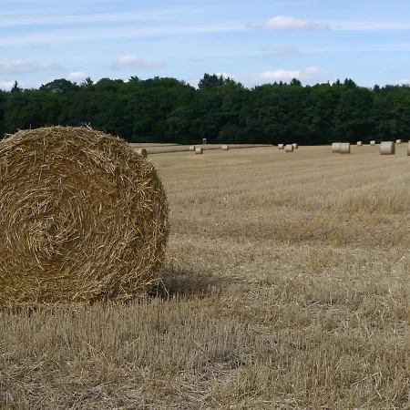 Apartment Rhein - Mosel Quartier 4