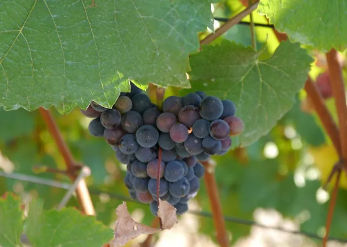 Διαμέρισμα Rhein - Mosel Quartier 4 *