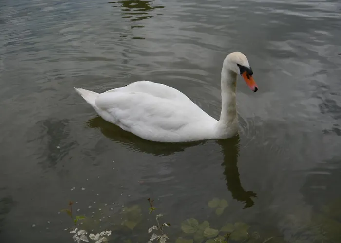 Rhein - Mosel Quartier 4 Διαμέρισμα *