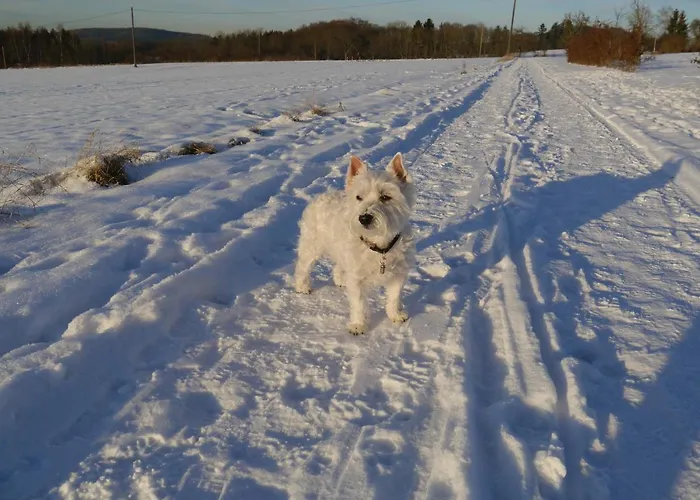 Rhein - Mosel Quartier 4 Διαμέρισμα *