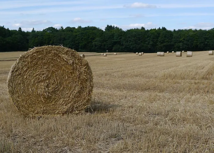 Διαμέρισμα Rhein - Mosel Quartier 4